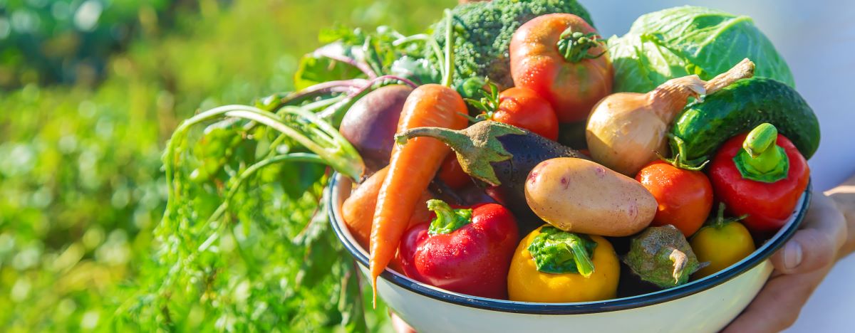 Saisonkalender: Obst und Gemüse das ganze Jahr