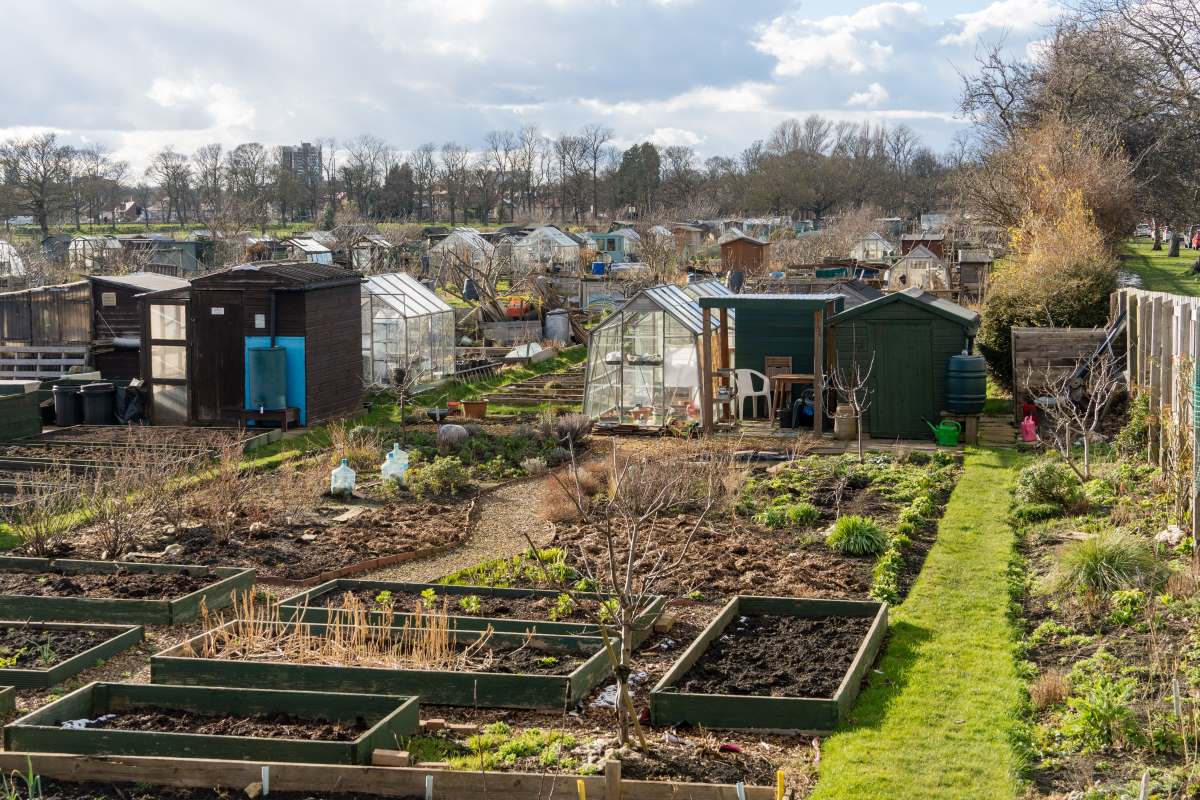 Schrebergarten in Olpe: Das Wichtigste zu Pacht, Regeln und 